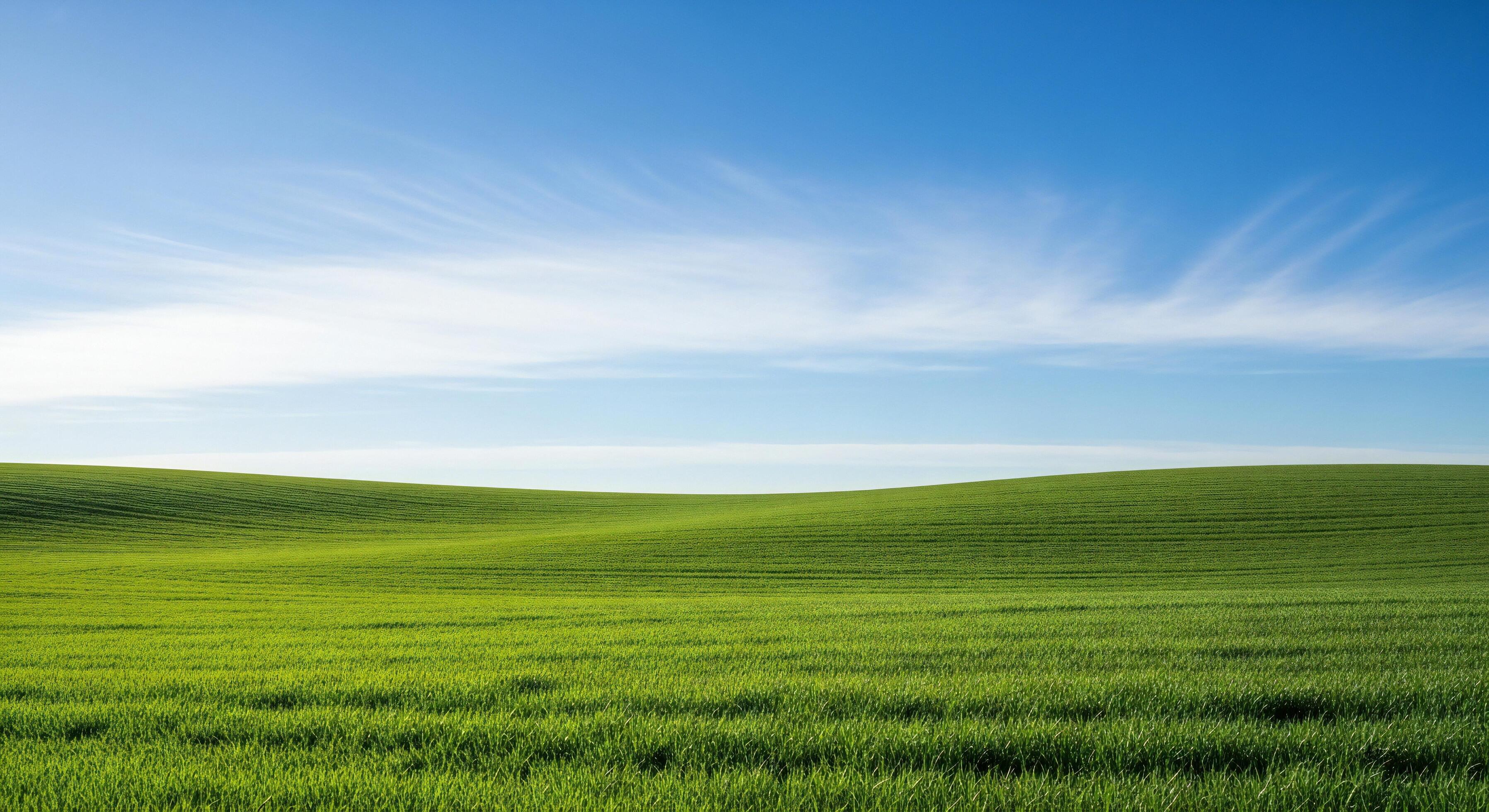 Rolling green fields under a bright blue sky